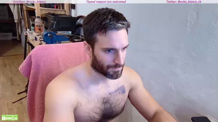 osito_blanco