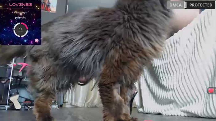 nasty_cute