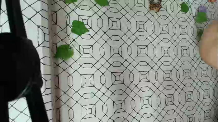 amelia_lov