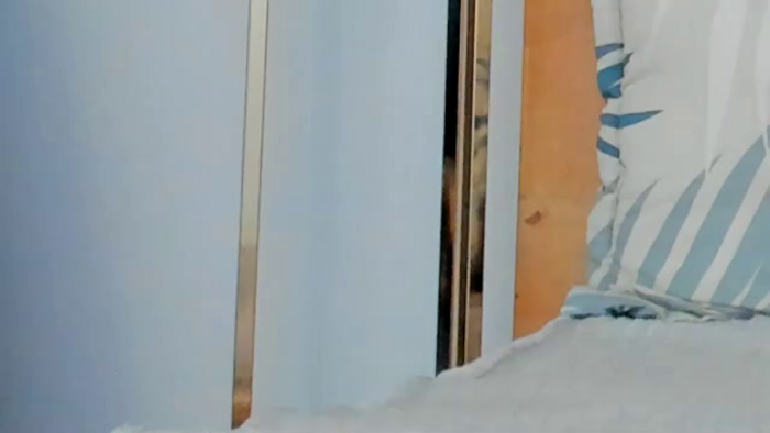 lucia-saanvi