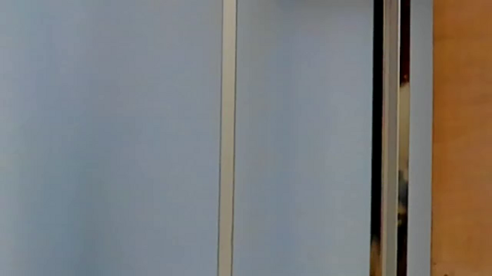 lucia-saanvi