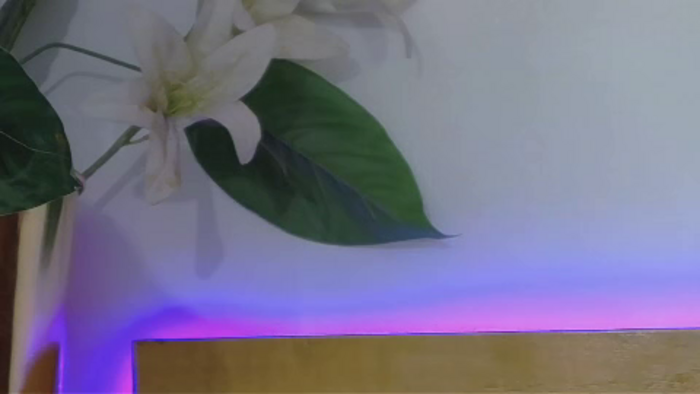 lucia-saanvi