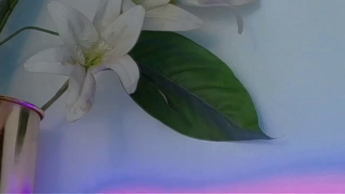 lucia-saanvi