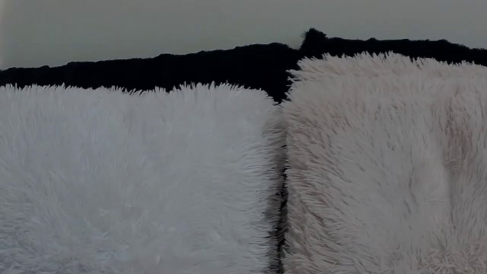 ailsie-west