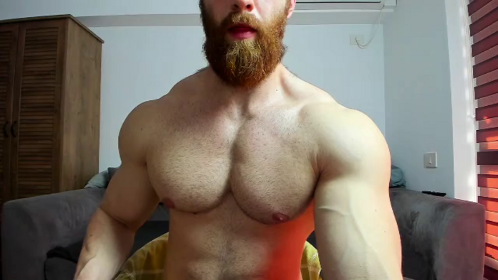zack-blitz