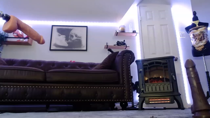 BunnyNextDoor