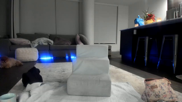 Mollyboots