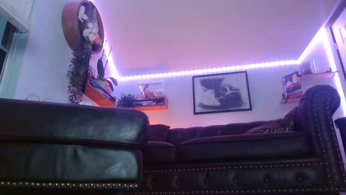 BunnyNextDoor