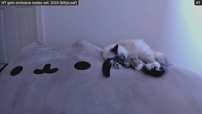 Kitty