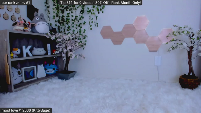 Kitty