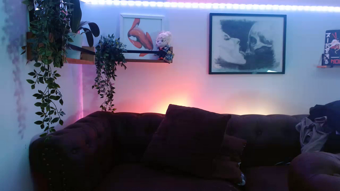 BunnyNextDoor