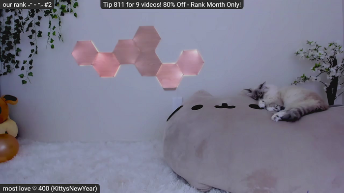 Kitty