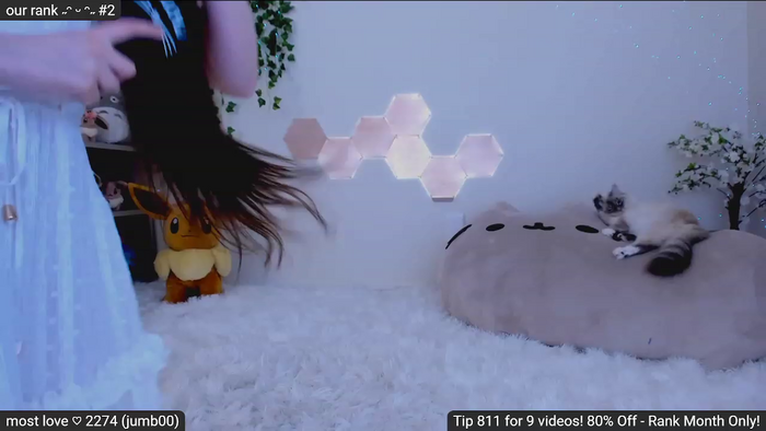 Kitty