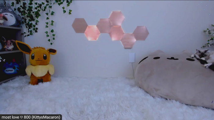 Kitty