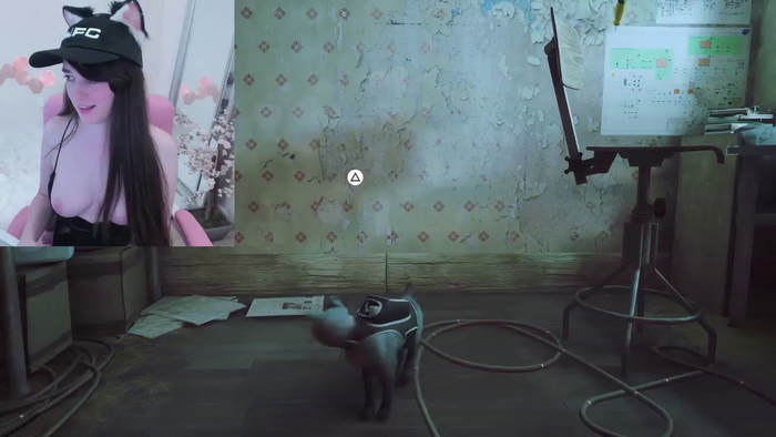 Kitty