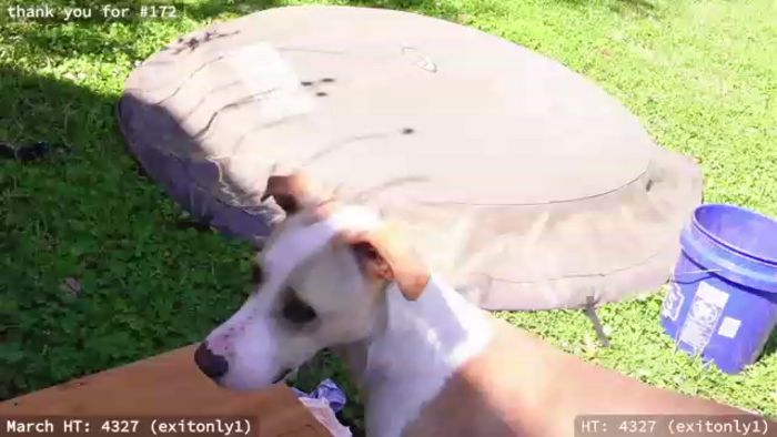hi_ella