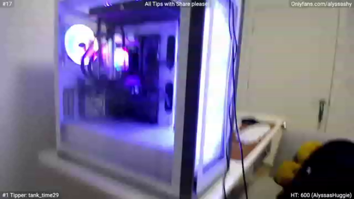 AlyssaShy
