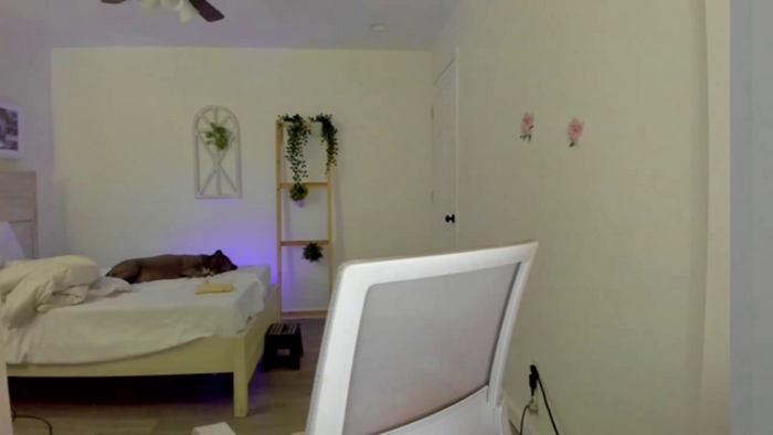 Bunni_