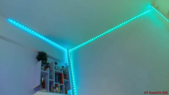 elissa25_
