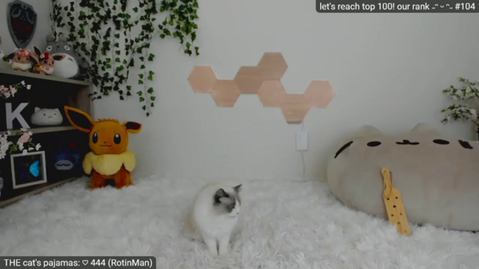 Kitty