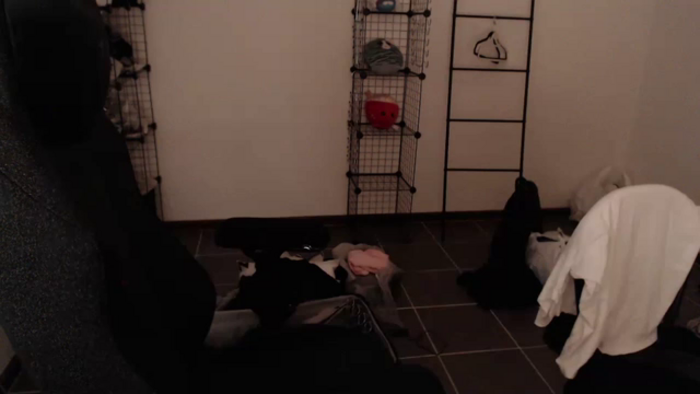 RoomToAvoid
