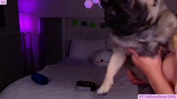 snowkittyyyy
