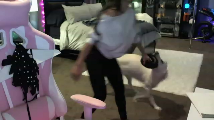 LexxiStar