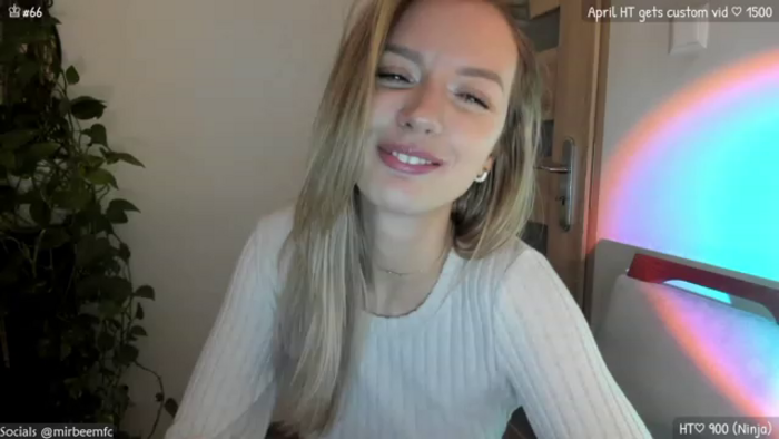 MirBee