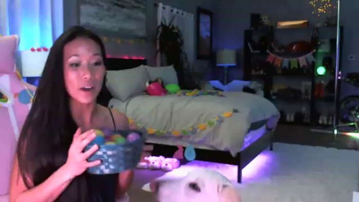 LexxiStar