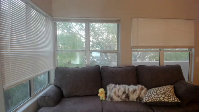 PokeAPuss