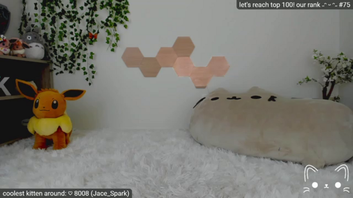 Kitty