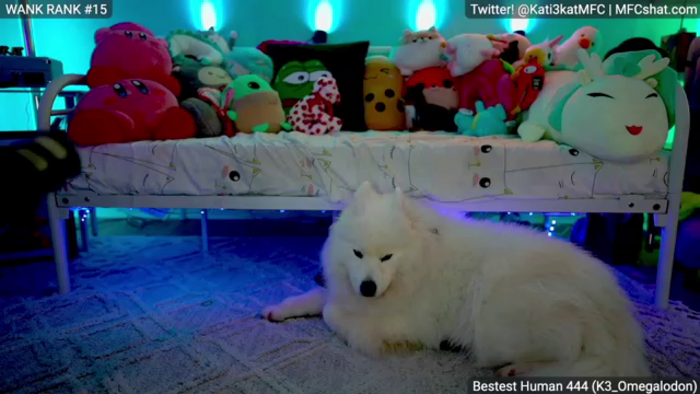 Kati3kat