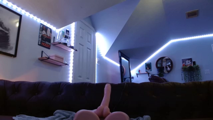 BunnyNextDoor