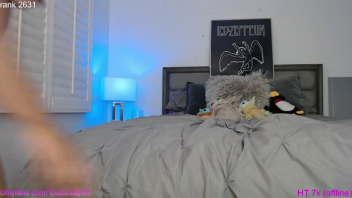 ExoticLILYxo