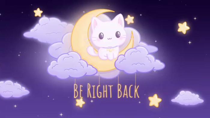 ZillyKitty