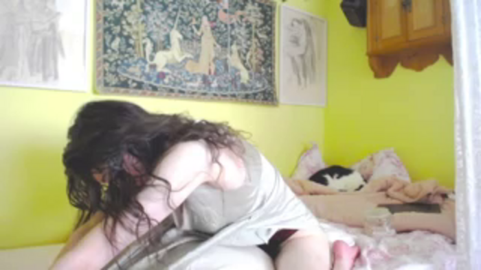 viola__