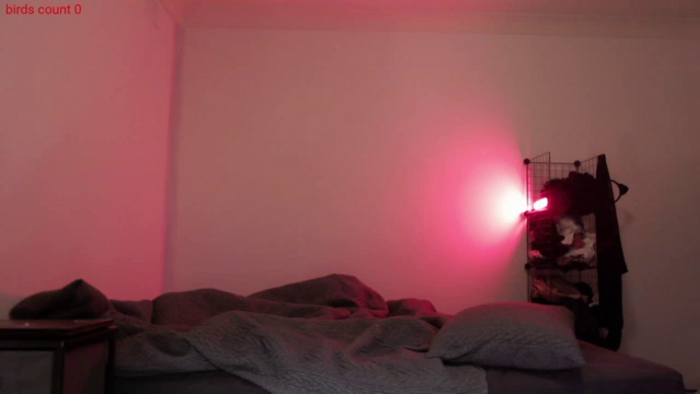 RoomToAvoid