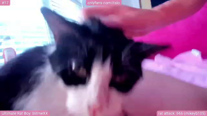 itslo