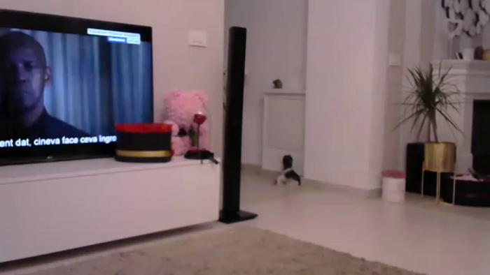 Missy_alena