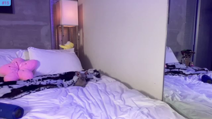 Snowkitty