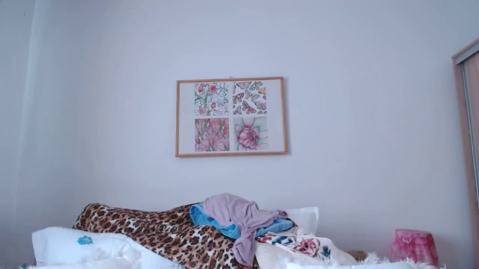 cheetah_