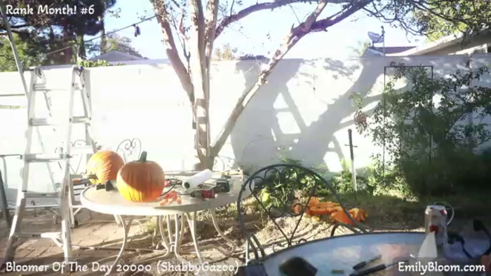 EmilyBloom