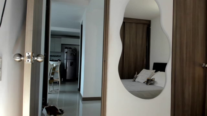 Red_Aria