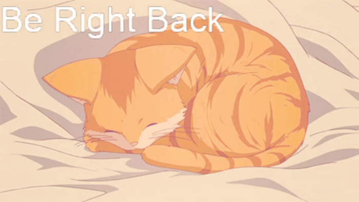 Kitty