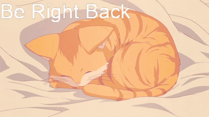 Kitty