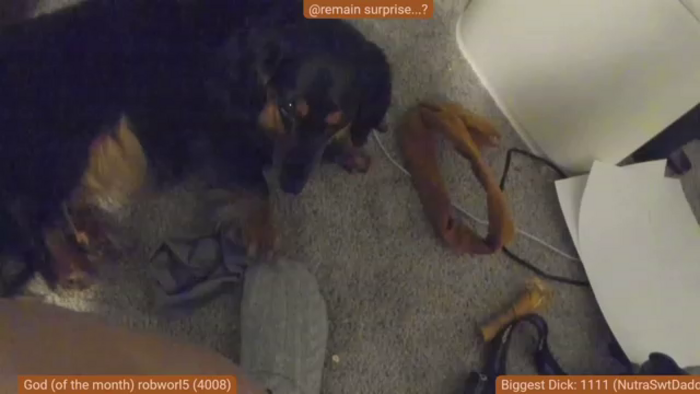 Nami_