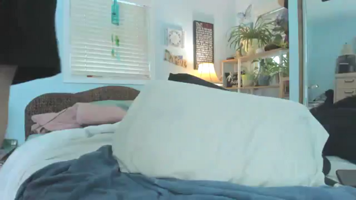 thewolfof_MFC