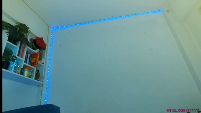 elissa25_