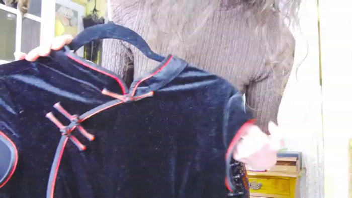 Viola__