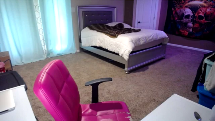 AshlynnStorm
